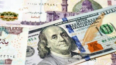 ارتفاع قياسي في سعر الدولار في مصر يثير قلق السوق
