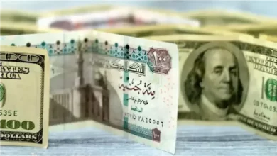 ارتفاع مفاجئ في سعر الدولار… بزيادة 16 قرشا مقابل الجنيه المصري