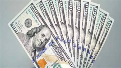 استقرار سعر الدولار في المركزي والبنوك الخاصة يثير اهتمام المتعاملين