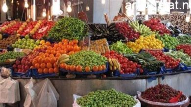 استقرار لافت في أسعار الخضراوات والفواكه بأسواق أسوان اليوم