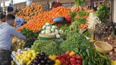 استقرار ملحوظ في أسعار الخضروات والفواكه بسوق العبور يثير اهتمام التجار والمستهلكين
