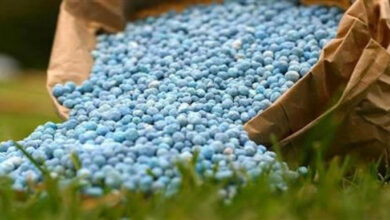 اضطرابات أسواق الأسمدة العالمية تُهدد مصر وتحفز تحولات استراتيجية كبرى في استثمارات ناصف ساويرس