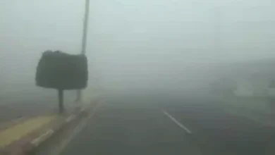 الأرصاد تحذر من ضباب خطير يهدد الرؤية في الباحة.. منع السفر مستمر حتى الأربعاء لضمان السلامة