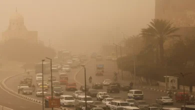 الأرصاد تُحذر من شبورة كثيفة تضرب الطرق فجر الخميس وتشكل تهديدًا على المزروعات بسبب الصقيع الشديد