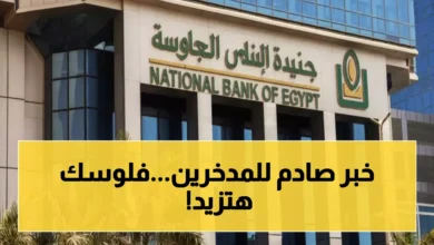 البنك الأهلي يطلق شهادة ادخار بعائد شهري 16%.. احسب أرباحك من 100 ألف جنيه بسرعة وبدون تعقيد