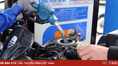 الجهات المختصة تتصدى لمنع احتكار السوق والتلاعب بالأسعار حفاظًا على حقوق المستهلكين