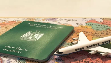 الخارجية تُعلن عن ثورة في الخدمات القنصلية: إصدار جواز السفر خلال 5 أيام والتصديقات داخل الجامعات تسريعًا وتيسيرًا للمواطنين