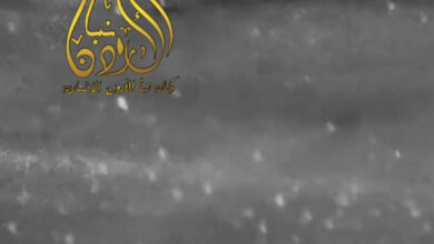 الدفاع البريطانية تُعلن نجاحها في إسقاط أنظمة جوية غير مدروسة فوق الأجواء الأردنية تعزيزاً للأمن الإقليمي (فيديو)