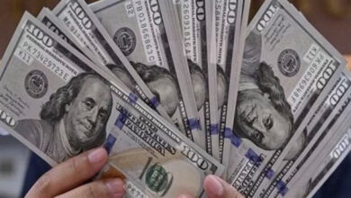 الدولار يحافظ على استقراره الهادئ في البنوك المصرية وسط ترقب الأسواق