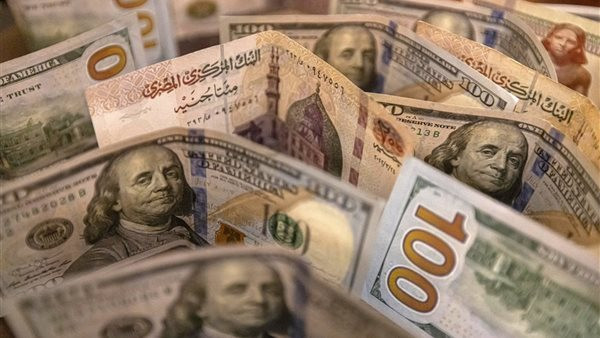 الدولار يستقر عند مستوى قريب من 51 جنيهًا في البنوك المصرية اليوم