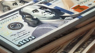 الدولار يواصل ارتفاعه ويتجاوز 52 جنيهًا لأول مرة في البنوك المصرية | خبر عاجل