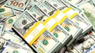 الدولار يُلامس حاجز الـ53 جنيهًا للمرة الأولى مع ارتفاع قياسي في الدرهم الإماراتي بـ20 قرشًا