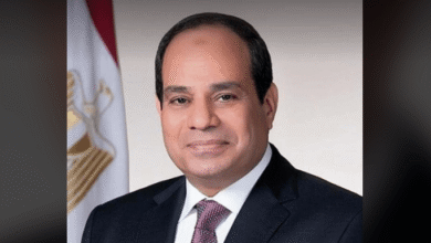 الرئيس السيسي يؤكد أن اقتصاد مصر في أمان ويخطو بثبات نحو مستقبل أكثر استقرارًا وازدهارًا