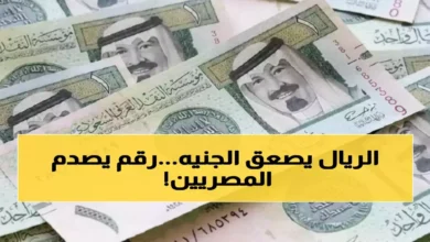 الريال السعودي يسجل استقراراً مفاجئاً أمام الجنيه المصري ويتراوح سعره بين 13.22 و13.40 جنيه