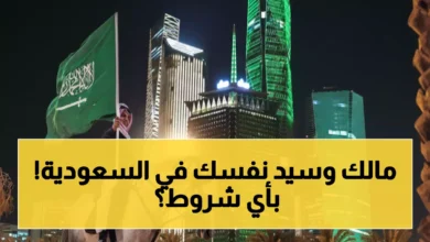 السعودية تكسر نظام الكفالة نهائياً وتعلن عن إطلاق تأشيرة العمل الحرة.. تعرف على الشروط والتفاصيل