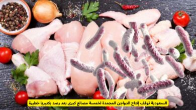 السعودية توقف إنتاج الدواجن المجمدة في أكبر المصانع لسبب خطير.. تعرف على التفاصيل