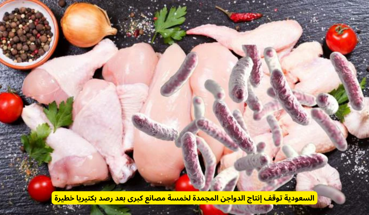 السعودية توقف إنتاج الدواجن المجمدة في أكبر المصانع لسبب خطير.. تعرف على التفاصيل