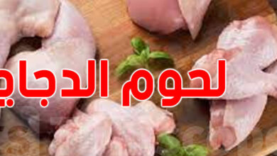 الغرفة الوطنية لتجار الدواجن تحذر من مخاطر احتكار لحم الدجاج وتأثيراته على السوق والاقتصاد