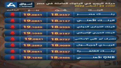 اليورو يحقق رقمًا قياسيًا جديدًا بـ 61.21 جنيه.. والمصريون بالخارج يحققون إنجازًا تاريخيًا في السوق المالية