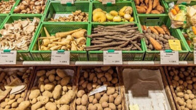 انخفاض الأسعار بنسبة 22% يعرض المزارعين لخطر الإفلاس