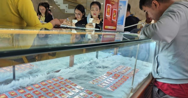 انخفاض تاريخي في سعر سبائك الذهب SJC يتجاوز 6 ملايين دونغ فيتنامي خلال أيام معدودة مباشرةً في بداية مارس