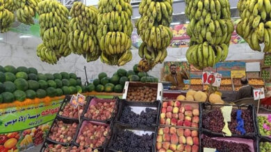 انخفاض حاد في أسعار الخضراوات والفواكه بأسواق الغردقة اليوم الخميس 12 مارس 2026