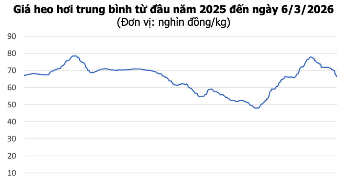 انخفاض سعر اللحوم إلى أقل من 70 ألف دونغ فيتنامي للكيلوغرام، بتراجع يصل إلى 2000 دونغ