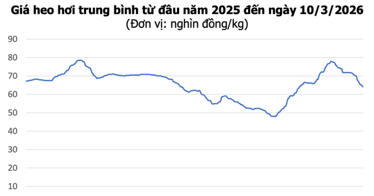 انخفاض قياسي في سعر الدونغ الفيتنامي إلى 60,000 دونغ/كجم مع تذبذب كبير في أسواق وسط البلاد