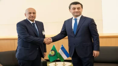 باكستان تسخر ضغوطها الدبلوماسية لوقف الاعتداءات الإيرانية على دول الخليج.. هل تنجح في درء التصعيد والحيلولة دون الحرب؟