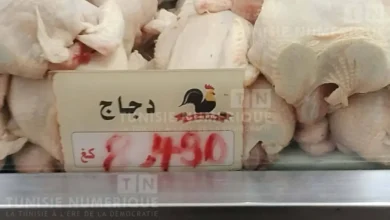 بالصور والفيديو: أسعار الخضر والغلال واللحوم والأسماك في سوق صفاقس تتصدر الاهتمام الشعبي