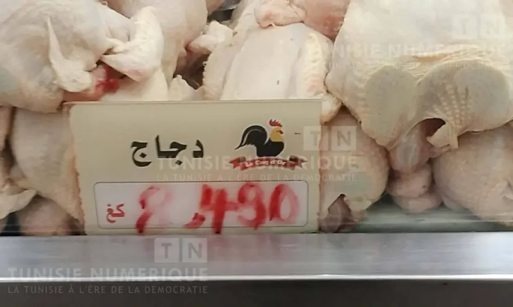 بالصور والفيديو: أسعار الخضر والغلال واللحوم والأسماك في سوق صفاقس تتصدر الاهتمام الشعبي