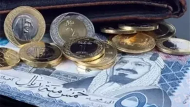 بعد ارتفاعات الأمس.. الريال السعودي يستقر أمام الجنيه المصري ويحقق استقرارًا ملحوظًا