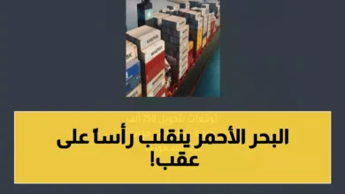 بنقل 250 ألف حاوية، ت re رسم ملامح التجارة العالمية.. هل تتجه السعودية لتصبح القلب الجديد للشحن البحري؟