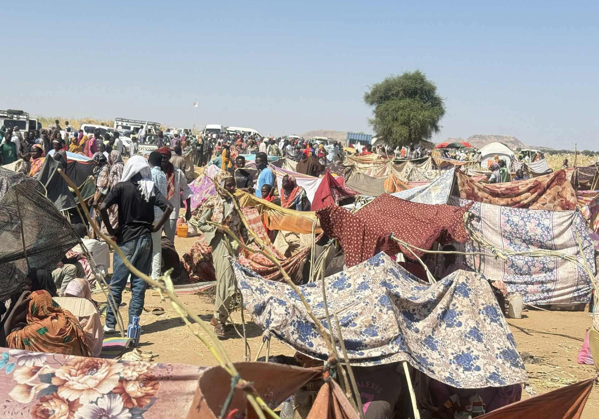 تحالف منظمات حقوق الإنسان أمام اختبار حاسم لحماية المدنيين في السودان