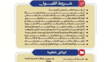 تحذير عاجل للشباب: صفحات مشبوهة تستدرج المجندين باسم قوات الطوارئ وتختطفهم (التفاصيل الصادمة)