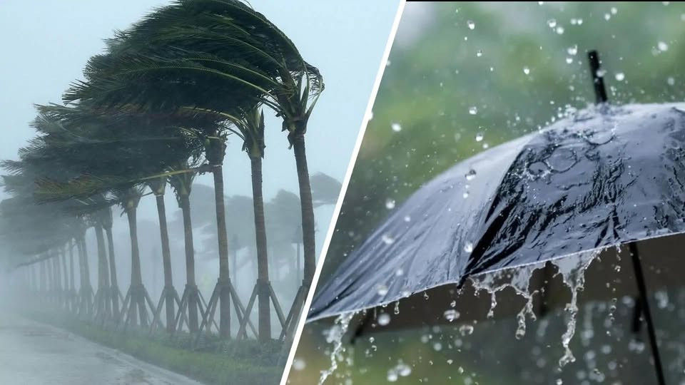 تحذير عاجل من الأرصاد حول تدهور الرؤية الأفقية في عدد من المحافظات بشكل حاد