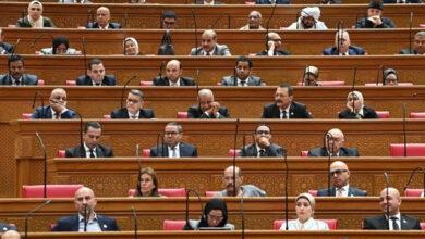 تحرك برلماني عاجل لمواجهة انتشار الألعاب الإلكترونية العنيفة التي تهدد سلامة الأطفال وتتصدر جدول الأولويات الوطنية