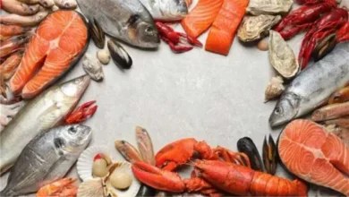 تحركات أسعار الأسماك والجمبري في الأسواق صباح اليوم تثير اهتمام المستهلكين