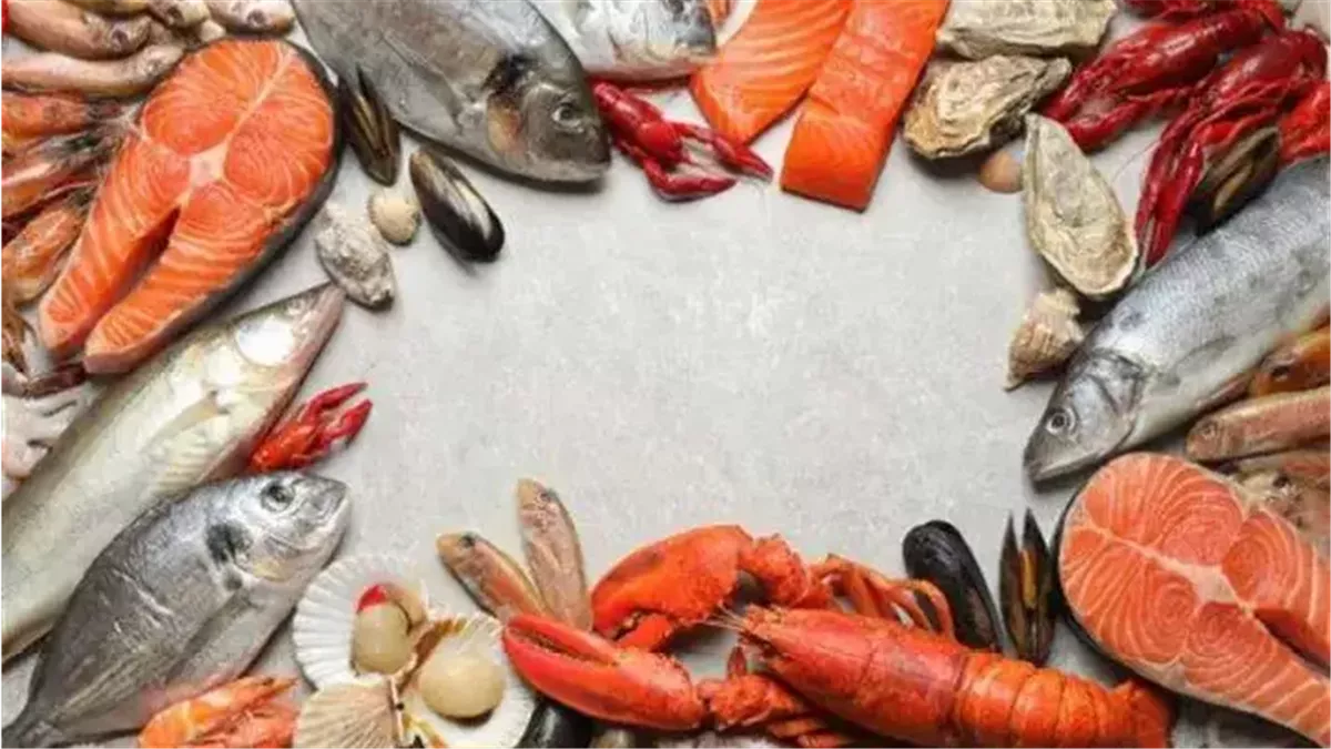 تحركات أسعار الأسماك والجمبري في الأسواق صباح اليوم تثير اهتمام المستهلكين