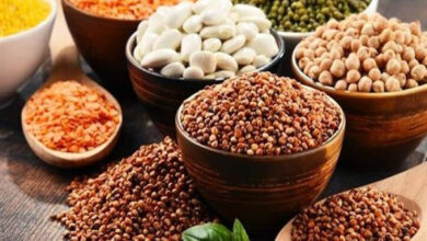 تراجع أسعار المحاصيل الزراعية عالميًا يُعزَى بانخفاض أسعار النفط وتخفيف المخاوف من التصعيد مع إيران