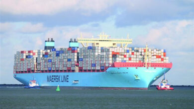 تضاعف أسعار الحاويات يدفع الطلب الأوروبي إلى تعزيز القوة الإنتاجية لمصر