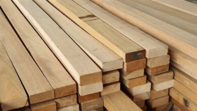 تطورات ملحوظة في أسعار الأخشاب بالسوق المحلية اليوم الخميس 12-3-2026