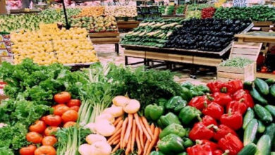 تقلبات حادة في أسعار الخضروات والفواكه بسوق العبور اليوم**