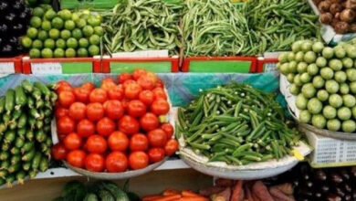 ثبات ملحوظ في أسعار الخضروات والفواكه بمحافظة كفر الشيخ اليوم الجمعة