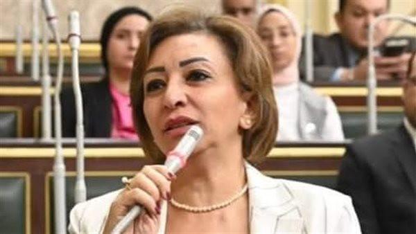 جدل برلماني واسع حول أسعار تذاكر مصر للطيران يثير مطالبات مستعجلة بإجراء تحقيق فوري