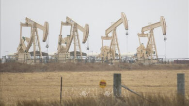 حاجز الأمواج يُصمد أمام صدمة الطاقة ويُعيد تشكيل معركة الحماية البحرية