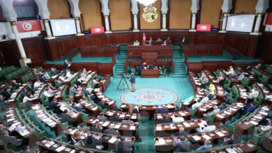 خبر سار للفلاحة التونسية: إعفاء من الخطايا وفوائد الديون ينعش القطاع الزراعي