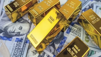 خبير يكشف مصير الذهب الصادم: هل يتجه نحو 5500 دولار أم ينهار إلى 4800؟ المفاجأة في الانتظار