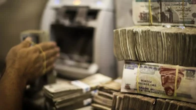 رفع سن المعاش إلى 65 عاماً بحلول 2040.. حوافز مالية جديدة قد تُغيّر المشهد الاقتصادي والاجتماعي