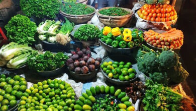 سعر الخضار اليوم يتراجع.. انخفاض الطماطم والباذنجان الأبيض بـ5 جنيهات وارتفاع ملحوظ في الفلفل